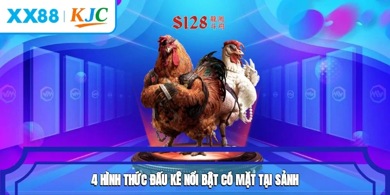 4 hình thức đấu kê nổi bật có mặt tại sảnh