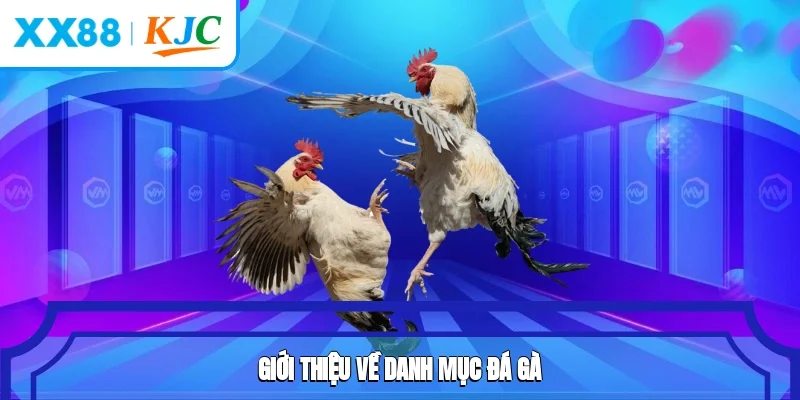 Đá Gà XX88 Cùng Nhiều Hình Thức Kịch Tính, Nảy Lửa