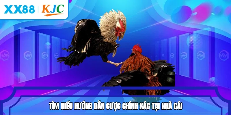 Tìm hiểu hướng dẫn cược chính xác tại nhà cái