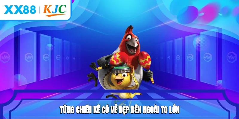 Lượng thành viên đam mê rất đông